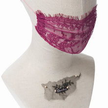 Cherie Lace Veil Fairymask